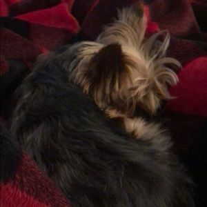 Meet your Posher, Tabatha